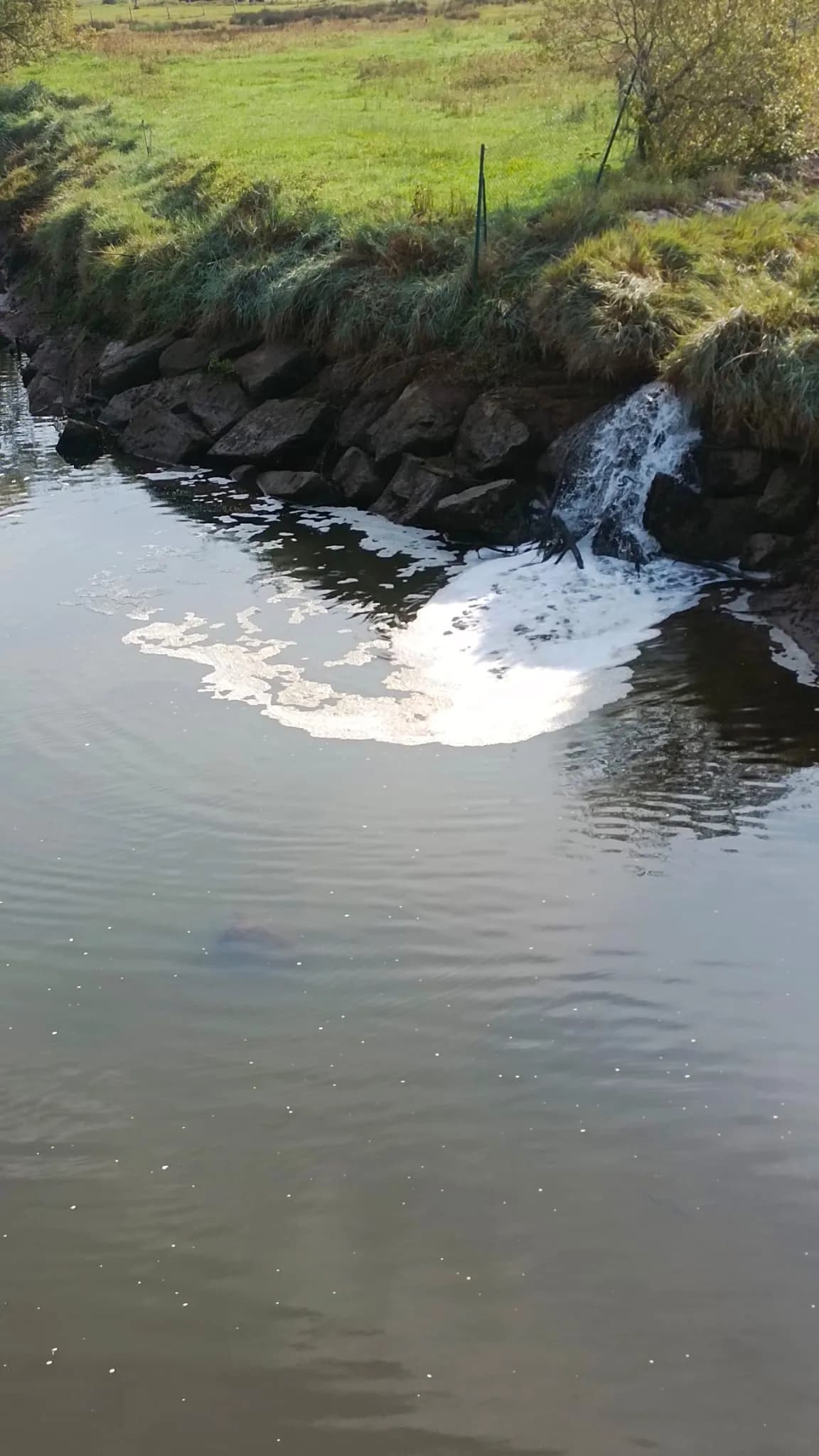 Imagen de la Ría de Villaviciosa