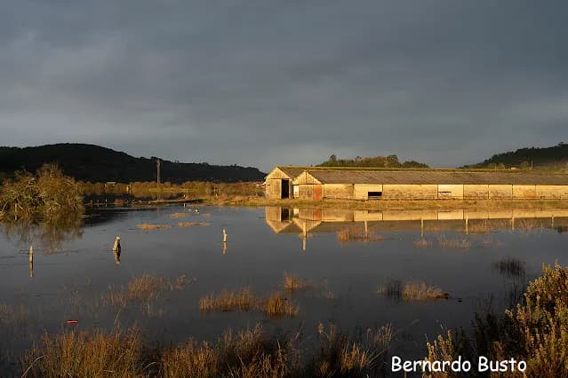 Imagen de la Ría de Villaviciosa