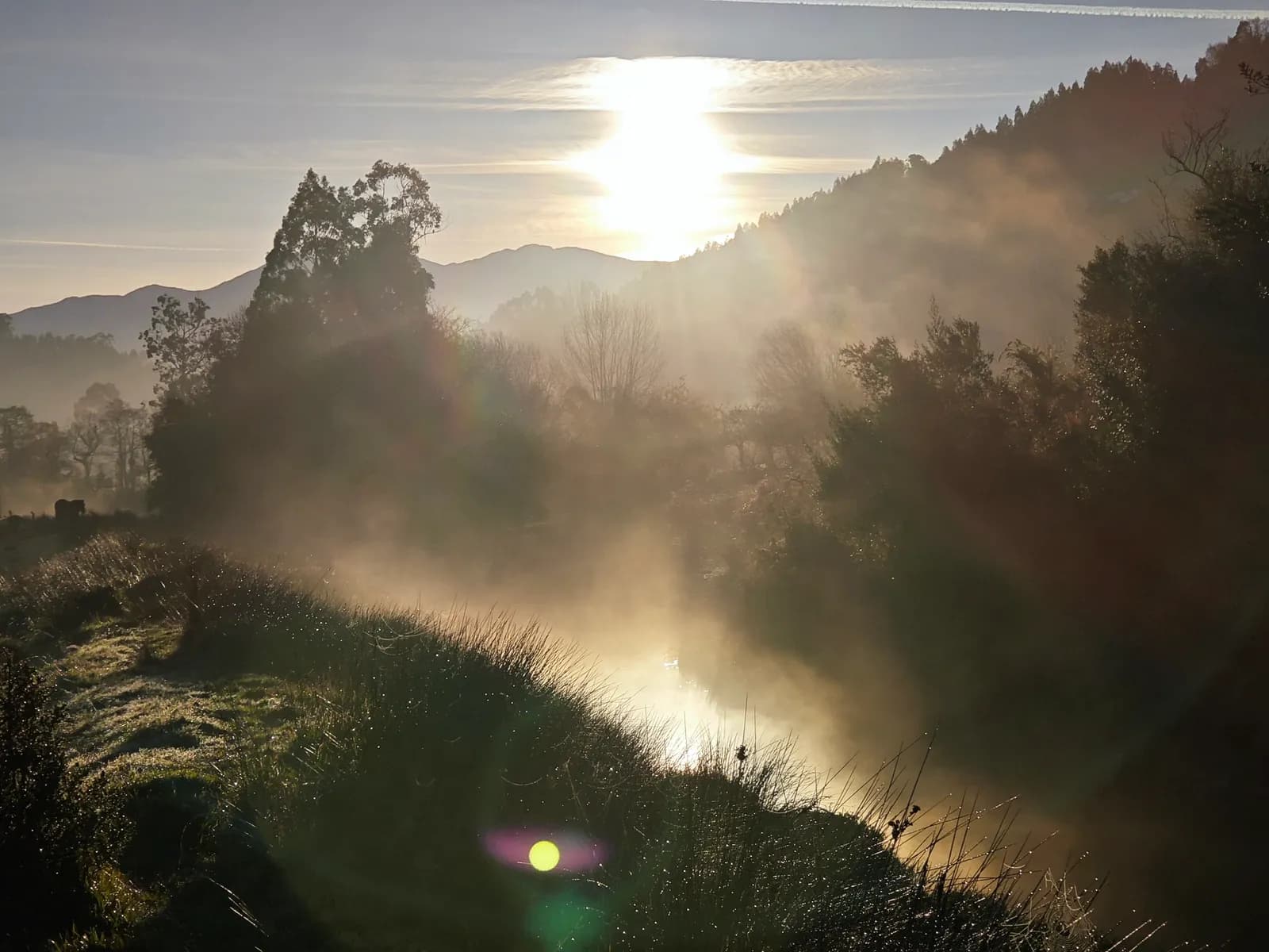 Imagen de la Ría de Villaviciosa