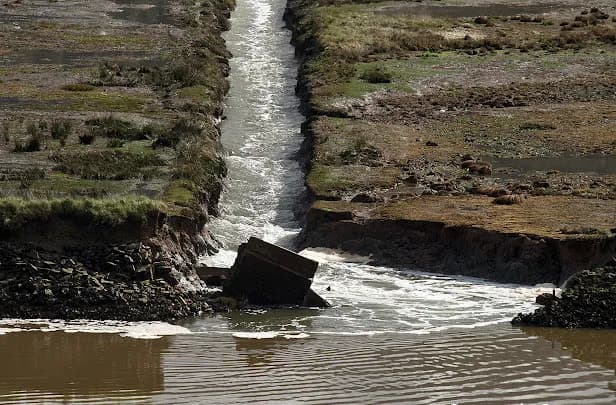 Imagen de la Ría de Villaviciosa