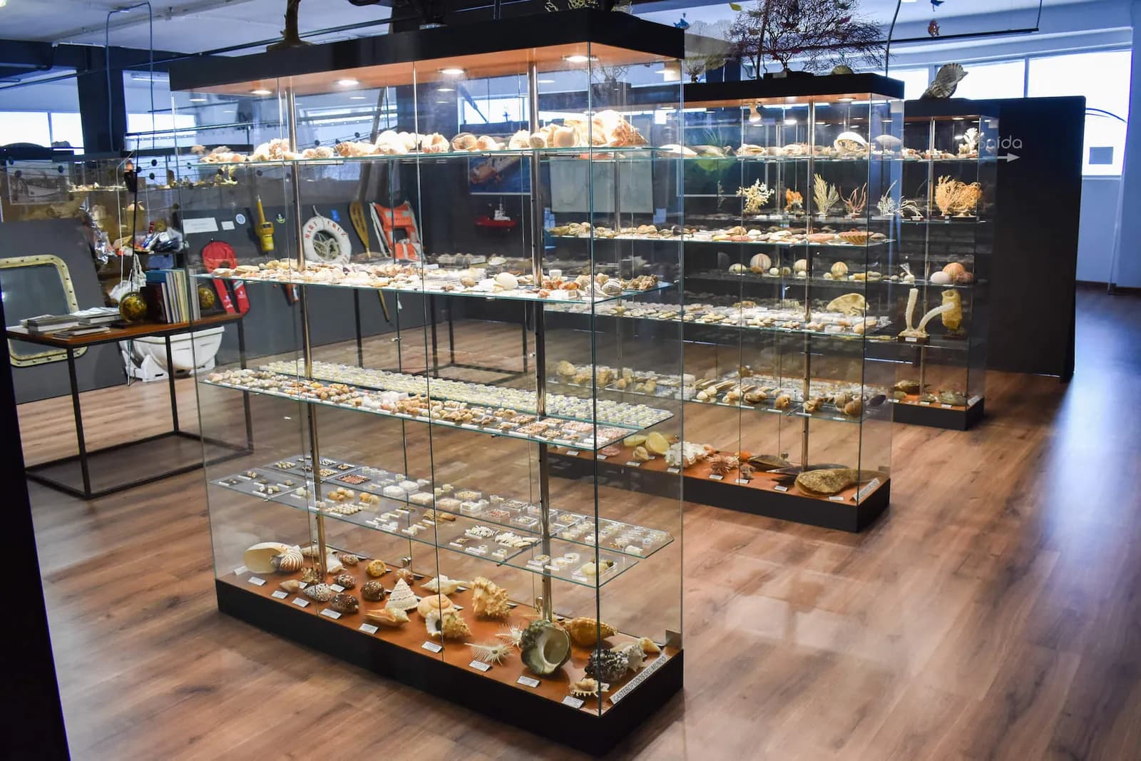 Imagen de la Ría de Villaviciosa