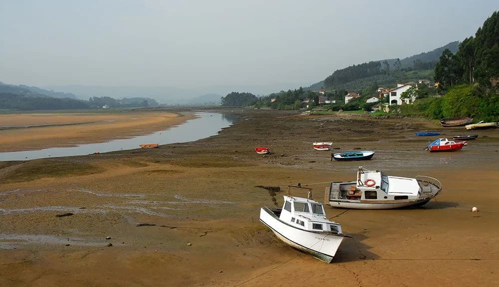 Imagen de la Ría de Villaviciosa