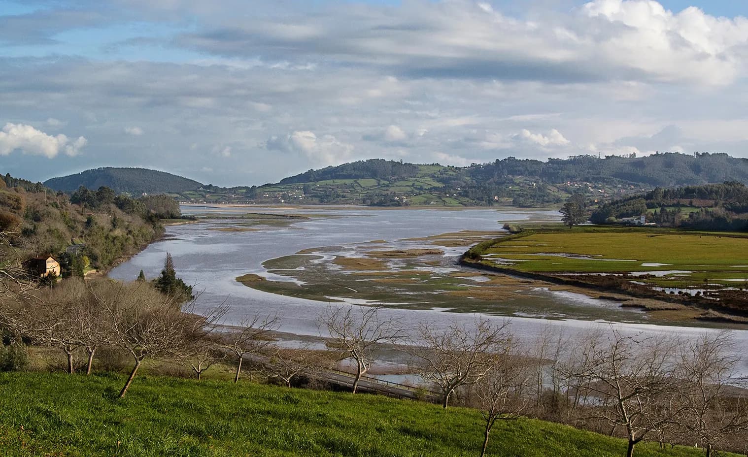 Imagen de la Ría de Villaviciosa