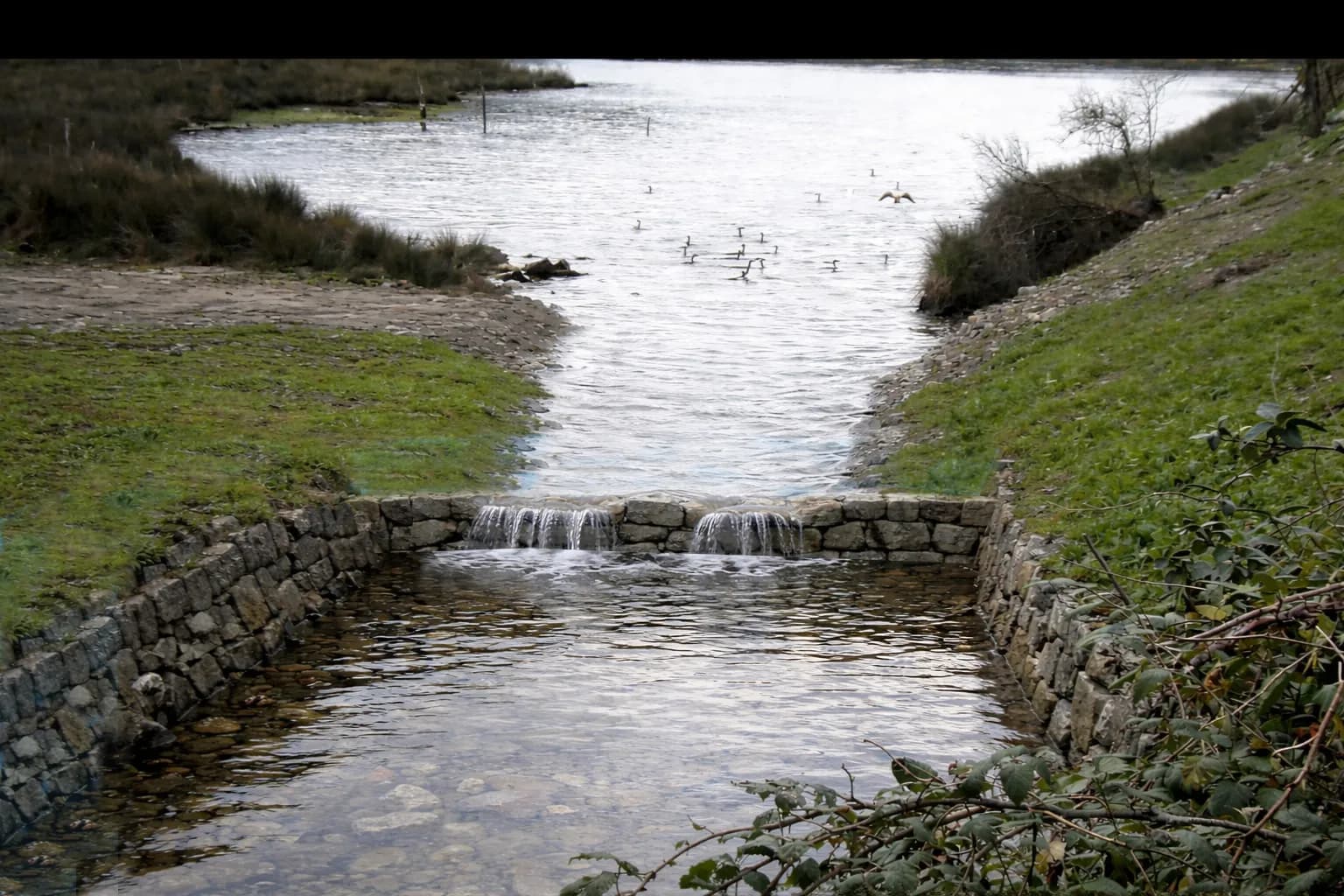 Propuesta de recuperación de las balsas de El Picu (porreo de Sebrayu)