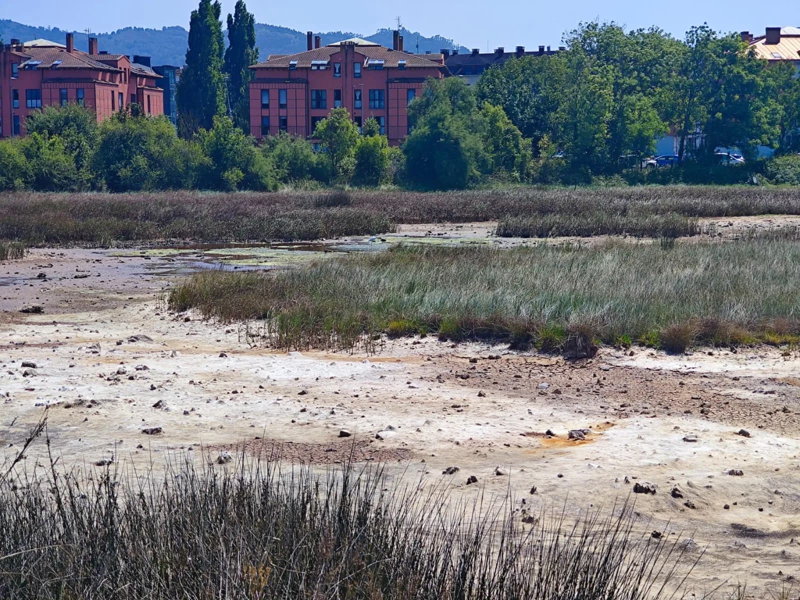El humedal de El Salín se seca ya en junio